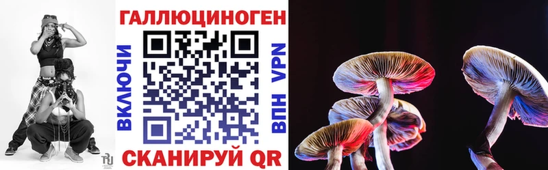 Псилоцибиновые грибы Psilocybine cubensis дарнет шоп Орлов