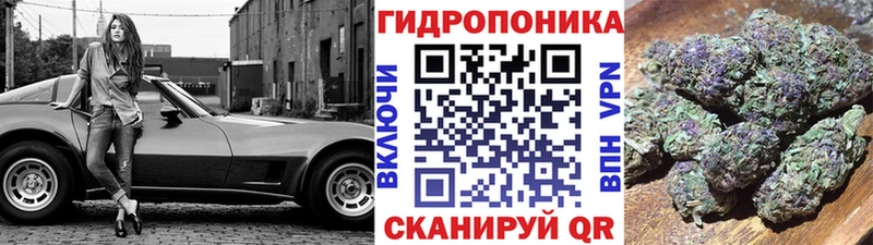 мега ссылки  Орлов  Марихуана SATIVA & INDICA 